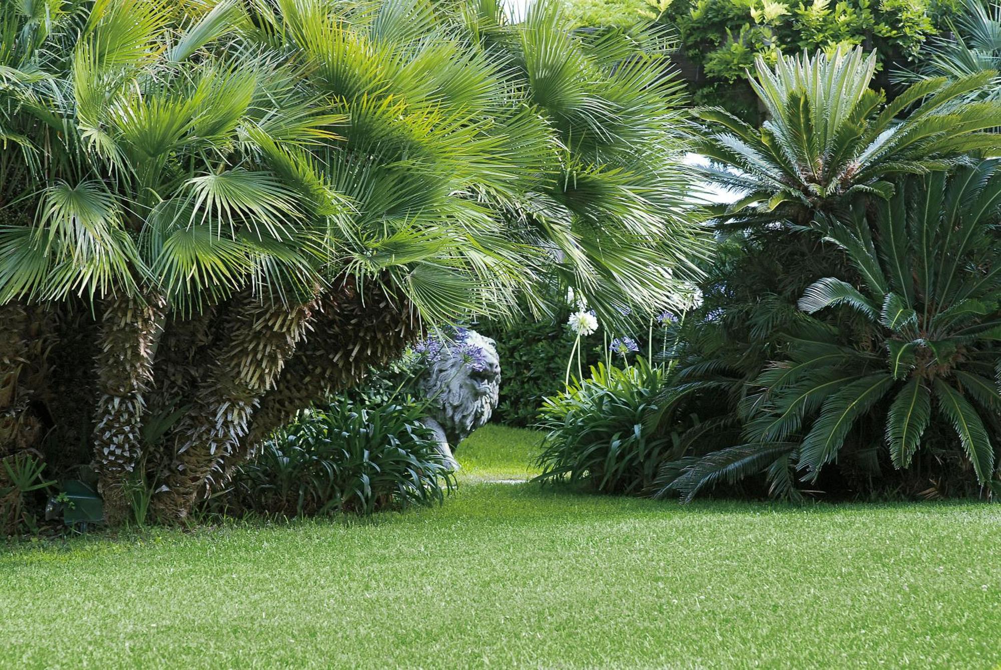 Grand Hotel Del Mare Resort & Spa Bordighera Eksteriør bilde